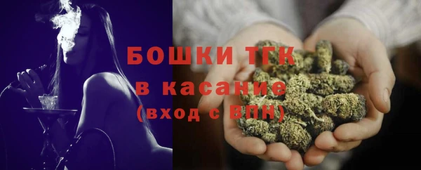 ешки Алексин
