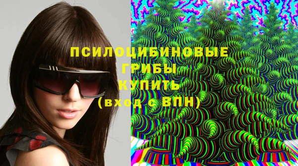 ешки Алексин