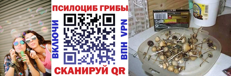 Псилоцибиновые грибы прущие грибы  blacksprut онион  Мантурово 
